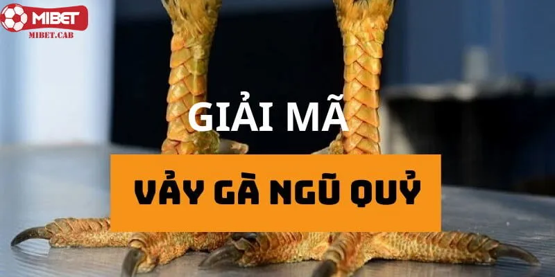 Vảy gà ngũ quỷ là đặc điểm nổi bật của một chú chiến kê mạnh